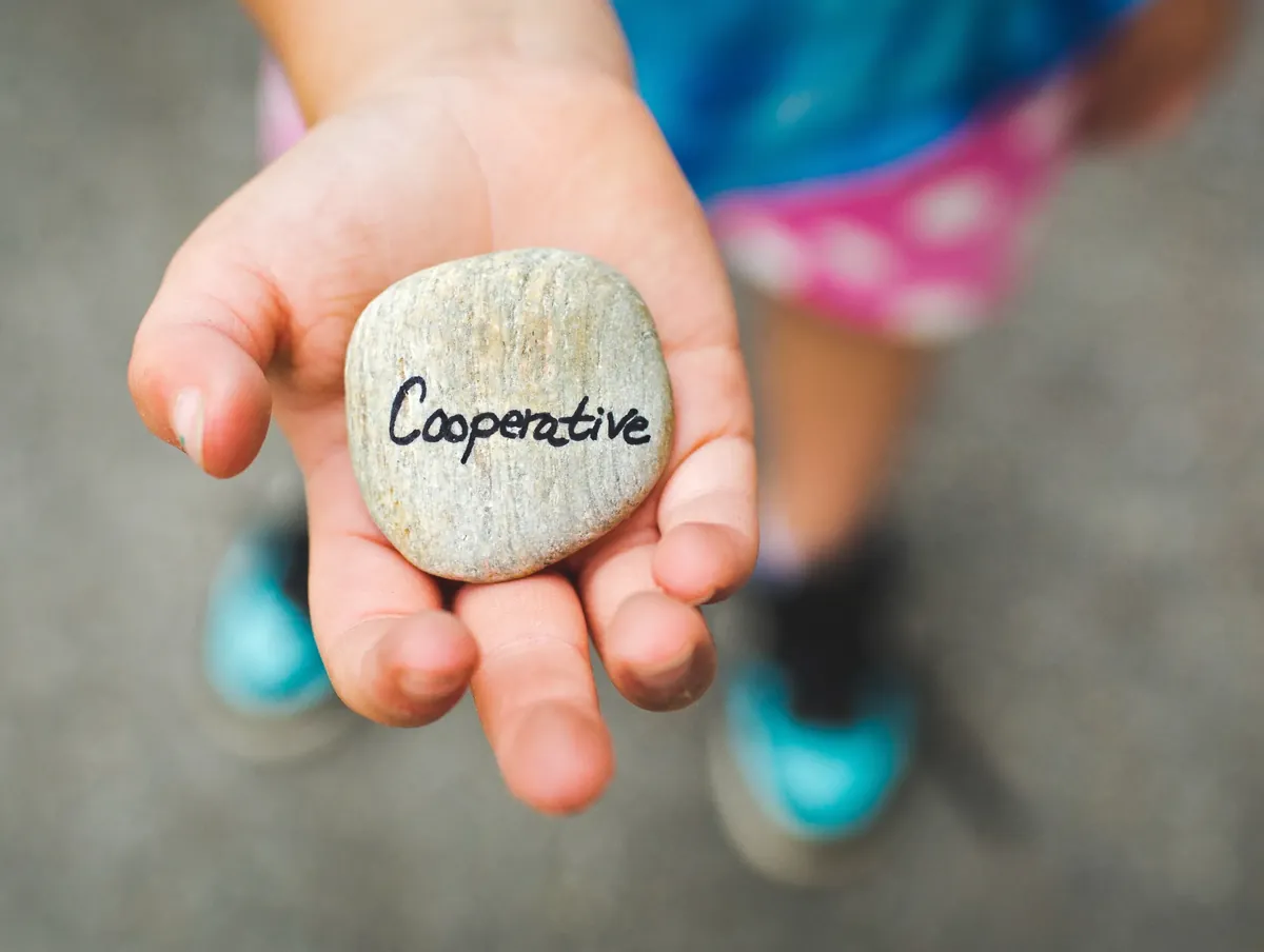 Piedra con la palabra cooperativo en la mano de una persona
