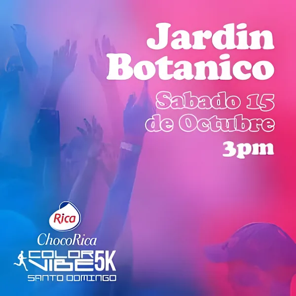 Color Vibe 5K